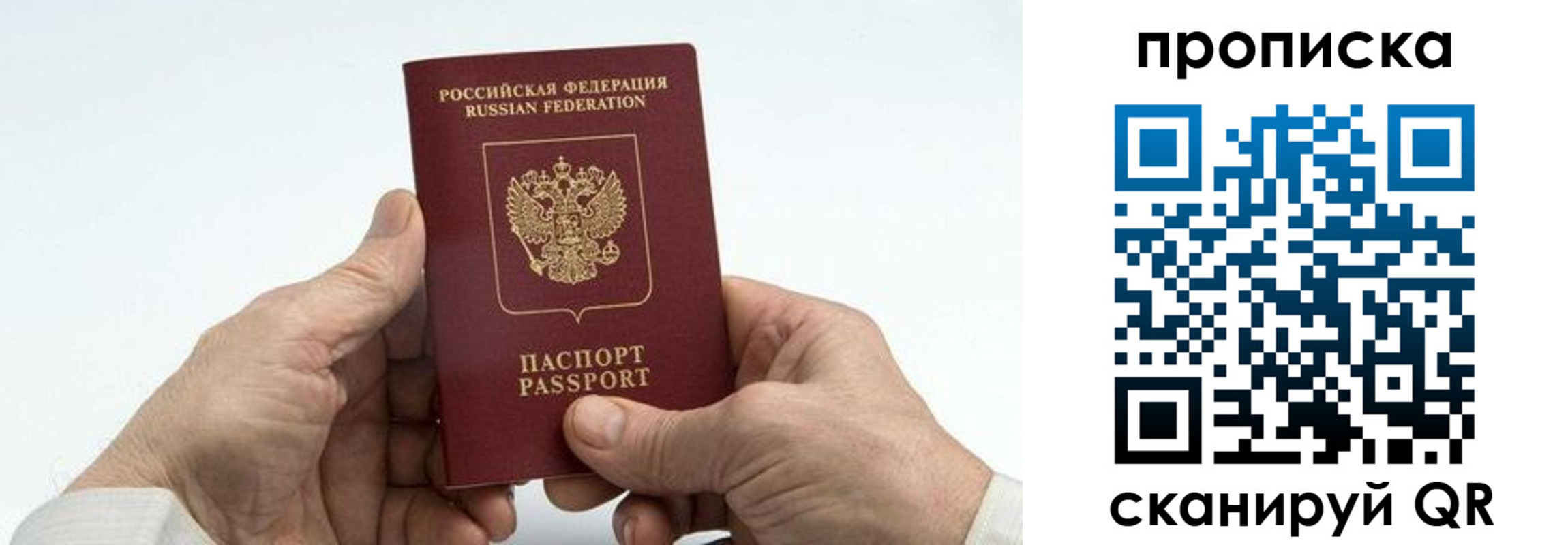 прописка паспорт в Владимире